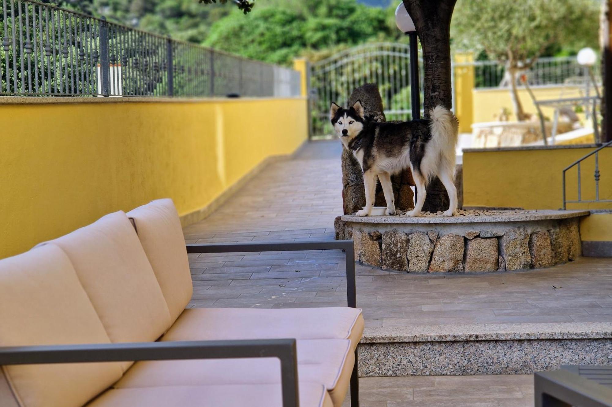Sa Mamma E Sole B&B Cala Gonone Bagian luar foto